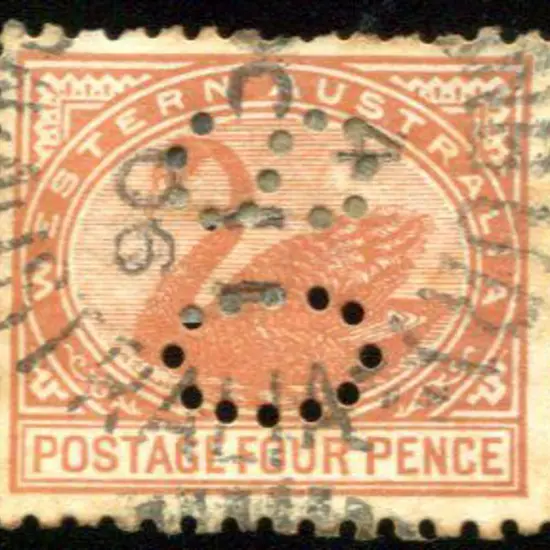 1905 4d yellow brown swan perf 11 perfined "OS". ...