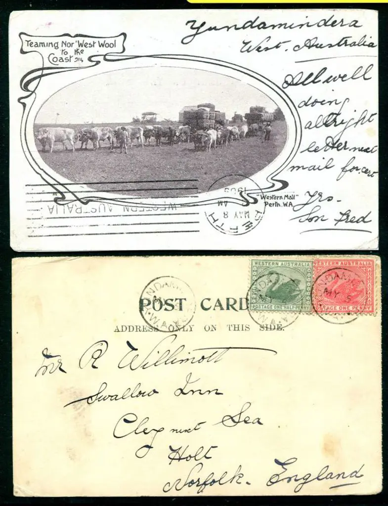 1905 (5th May) Western Mail "Teaming Nor'West Wool ... Image 1++