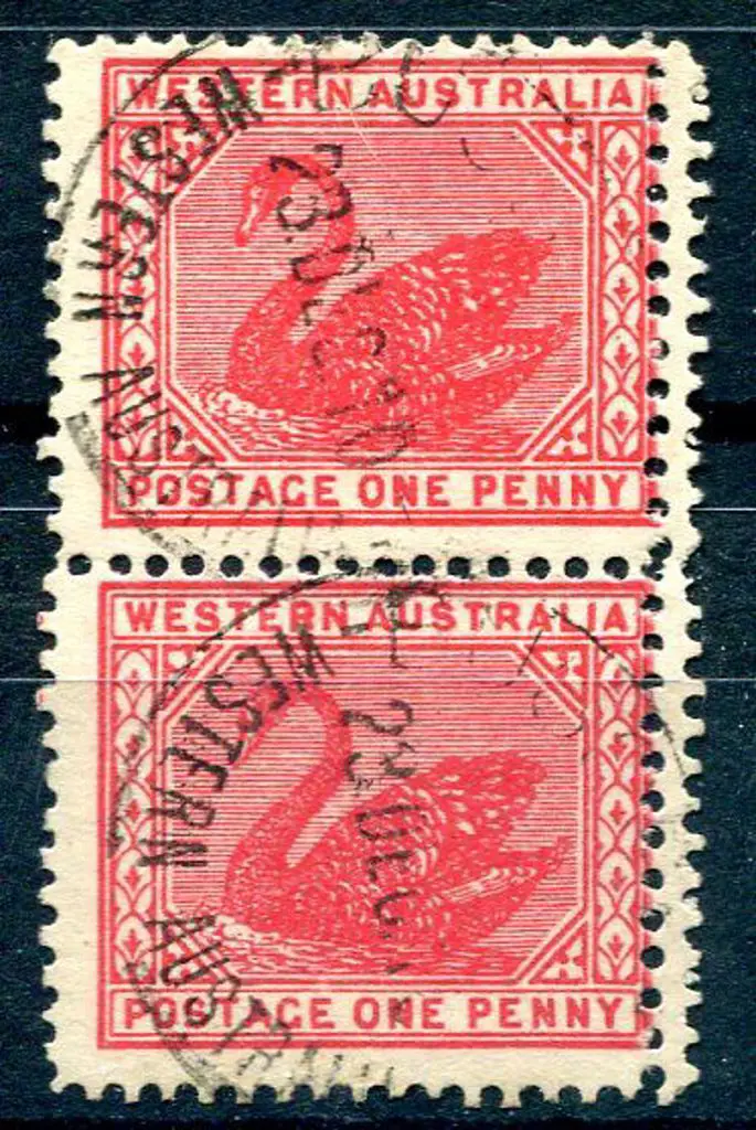 1905/12 1d rose-pink swan vert pair with double ... Image 1++