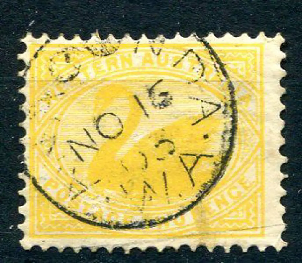 Anaconda 3b on 2d yellow swan for 15 NO 03. A 90% ... Image 1++