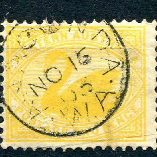 Anaconda 3b on 2d yellow swan for 15 NO 03. A 90% ...