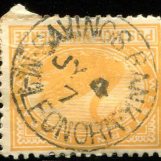 Mt Leonora Savings Bank SBV. Bullseye strike on 9d ...