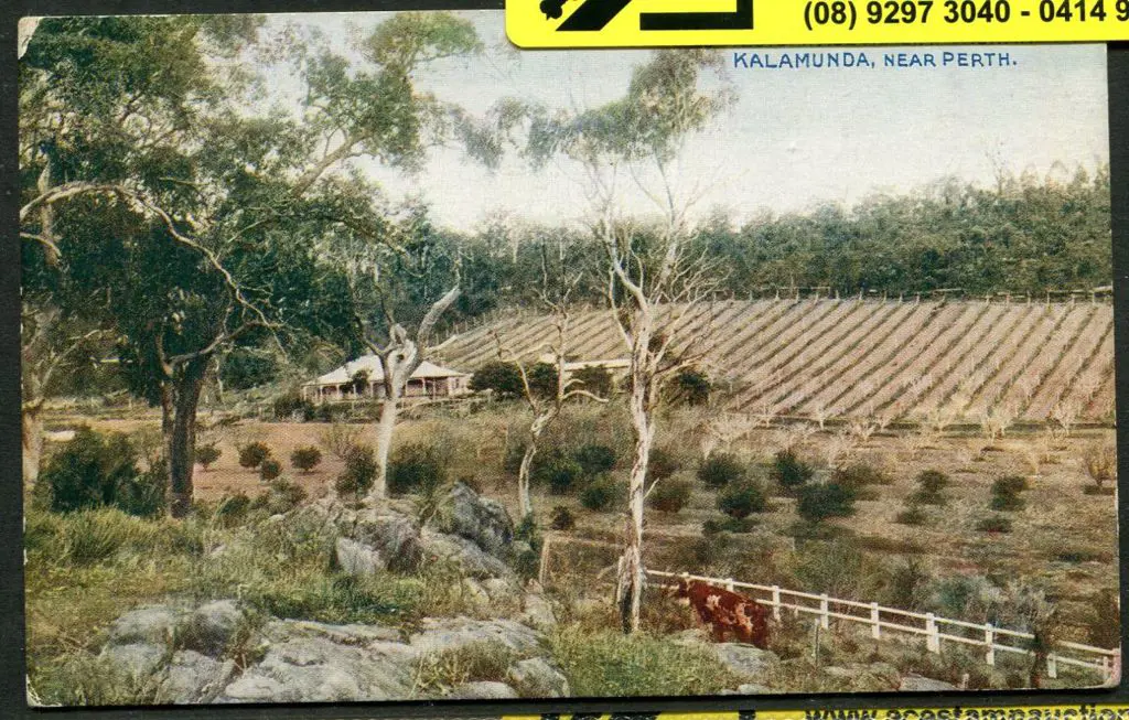 "E.Western Australia: Orchard at Kalamunda Near ... Image 1++