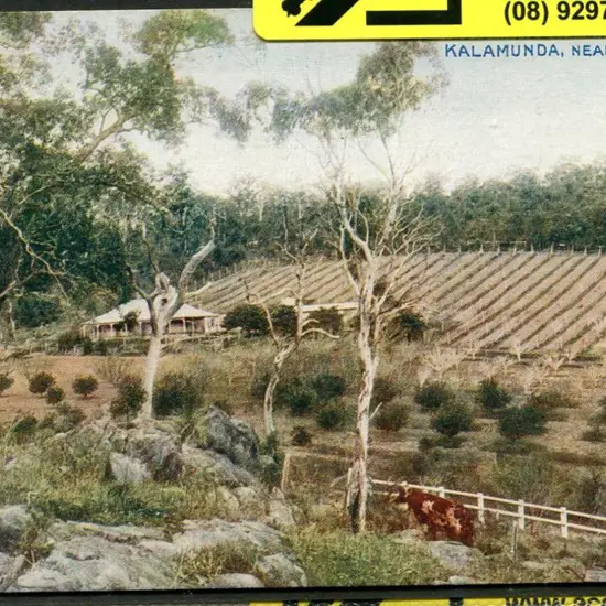 "E.Western Australia: Orchard at Kalamunda Near ...