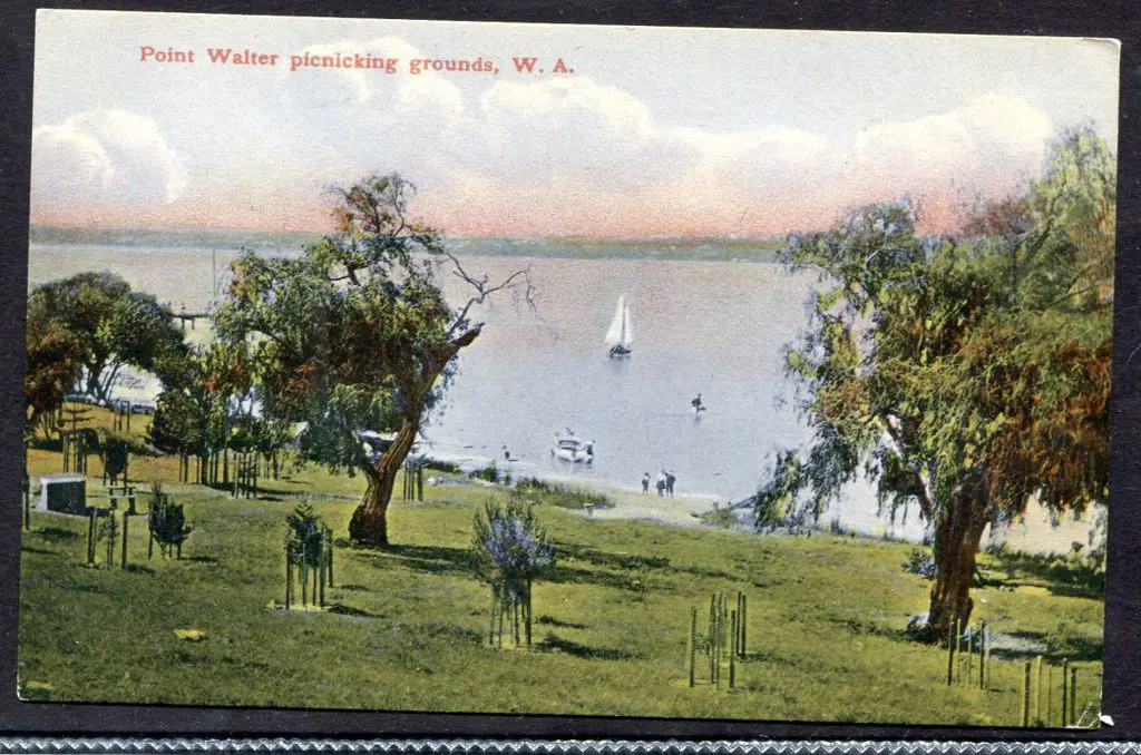 "Point Walter picnicking grounds, WA" Mayrhofer & ... Image 1++