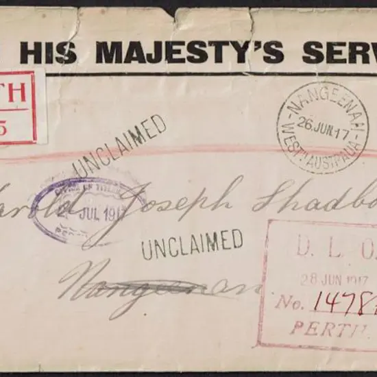 1917 (19th June) OHMS cover with two, one ...