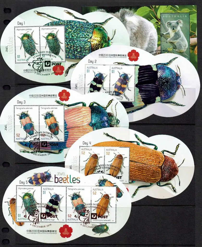 2016 Jewel Beetles set of Day 1 to 5 Miniature ... Image 1++
