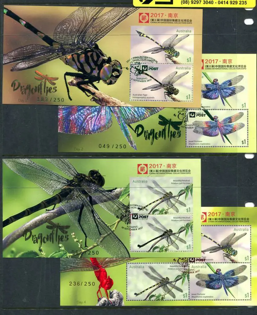 2017 (8th-11th Sept) Dragonflies set of Day 1 to 4 ... Image 1++