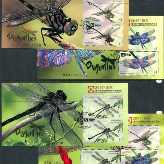2017 (8th-11th Sept) Dragonflies set of Day 1 to 4 ...
