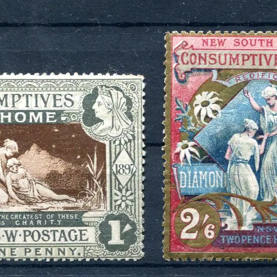 1897 Jubilee & Consumptive Homes Charity pair. ...