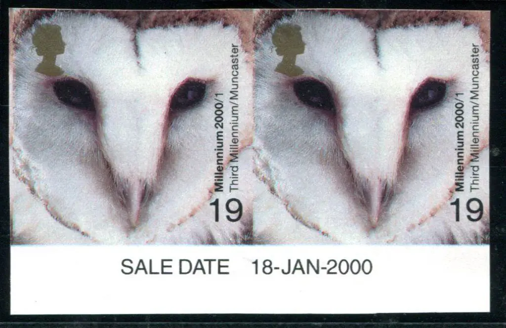 2000 19p Barn Owl (Millennium Projects) ... Image 1++