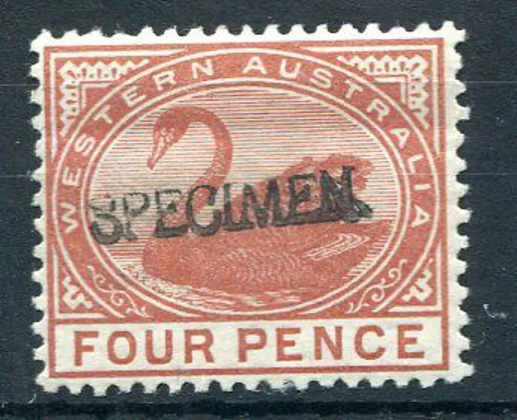 1890 4d chestnut with "SPECIMEN" ovpt. MLH, ironed ... Image 1++