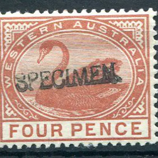 1890 4d chestnut with "SPECIMEN" ovpt. MLH, ironed ...