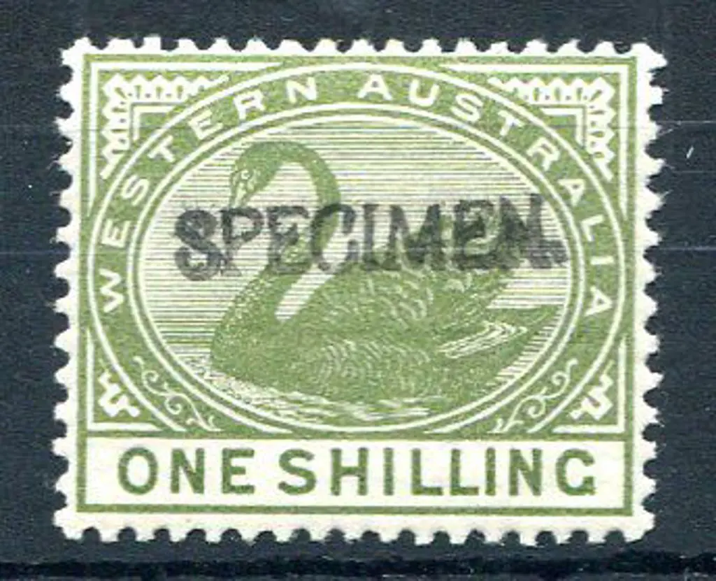 1892 1/- pale olive-green ovptd "SPECIMEN" MLH. SG ... Image 1++