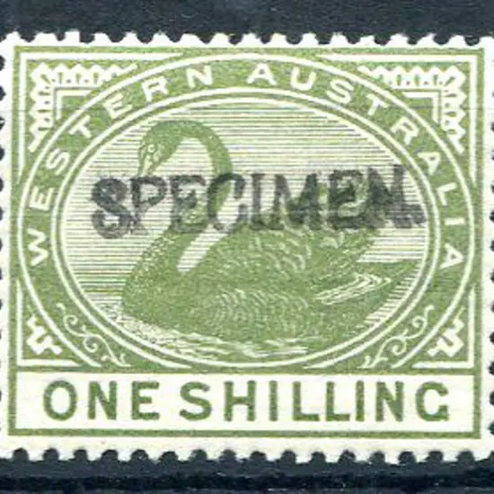 1892 1/- pale olive-green ovptd "SPECIMEN" MLH. SG ...