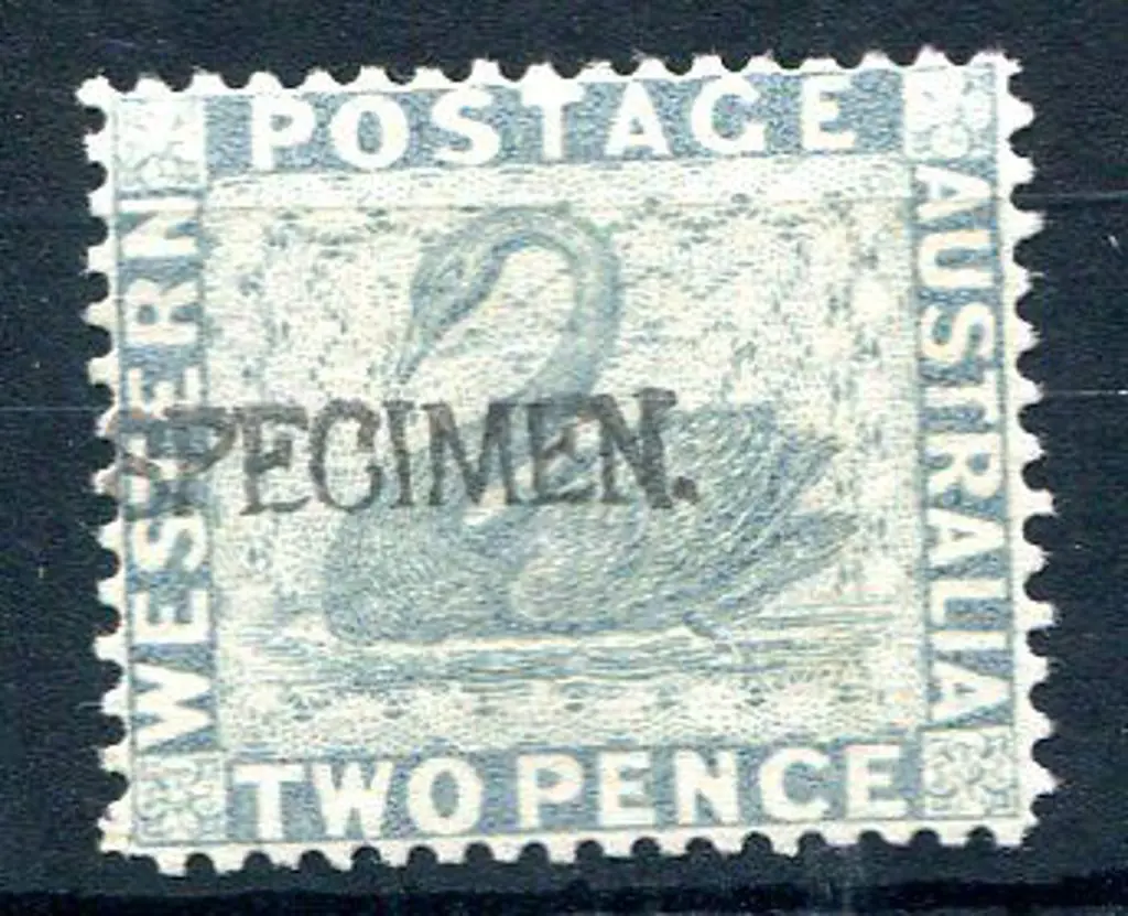 1888 2d grey ovptd "SPECIMEN" MLH. SG 104s Image 1++