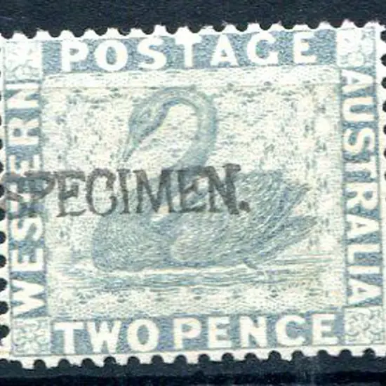 1888 2d grey ovptd "SPECIMEN" MLH. SG 104s