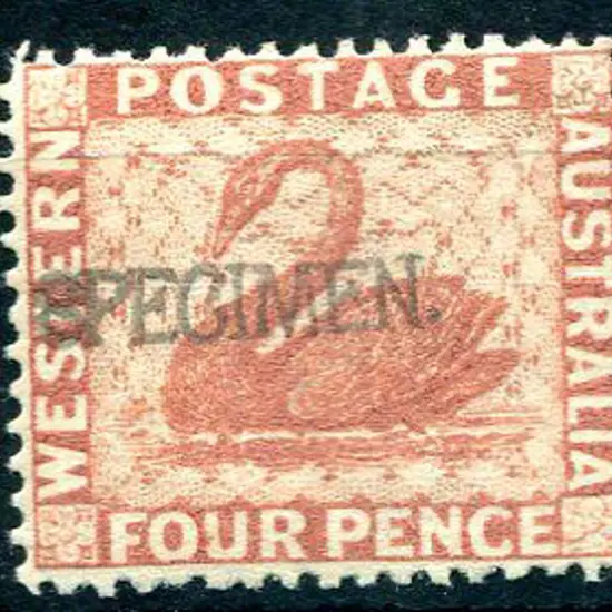 1888 4d brown with "SPECIMEN" ovpt. MLH. SG 105s