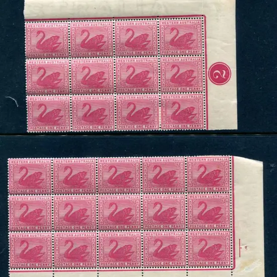1898 1d carmine in top right selvedge corner block ...