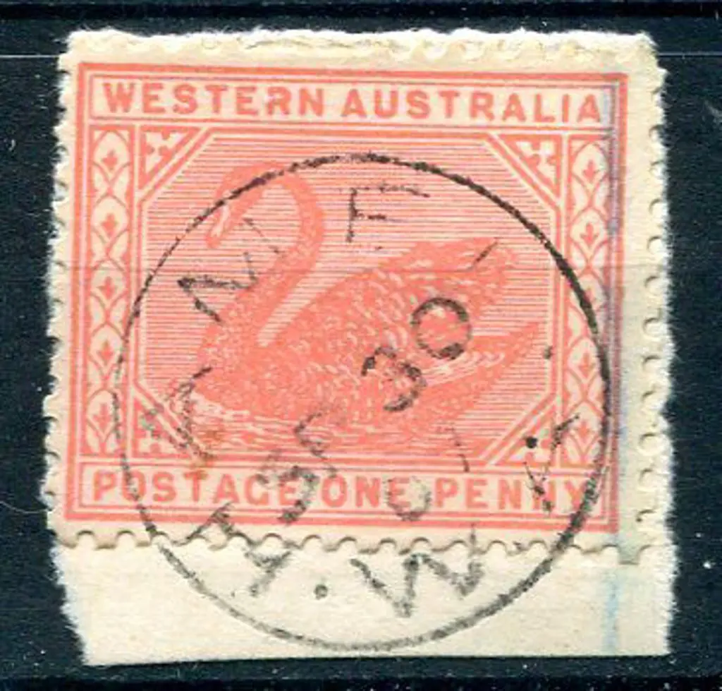 Hamel 3d complete strike on 1d red swan on piece ... Image 1++