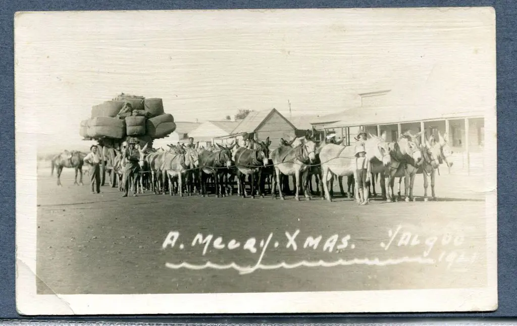 "A Merry Xmas, Yalgoo 1921" b&w unused Kodak ... Image 1++