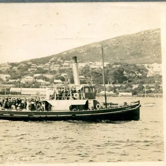 "Albany Week Regatta, 1909" showing "The Bruce" ...