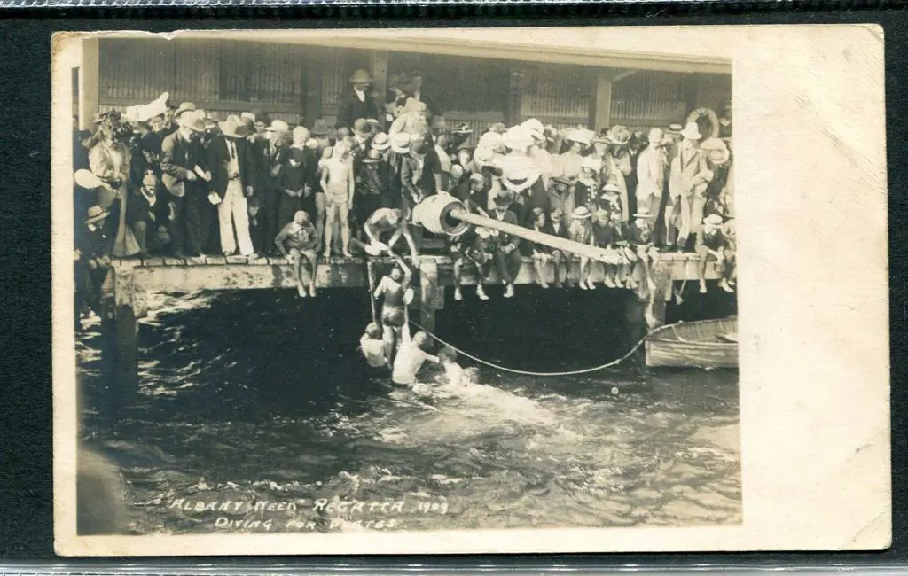 "Albany Week Regatta 1909 Diving for Plates" Third ... Image 1++