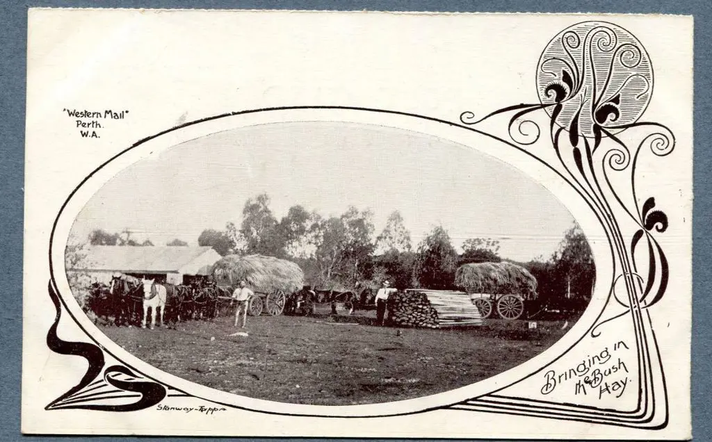 "Bringing in the Bush Hay" b&w Western Mail ... Image 1++