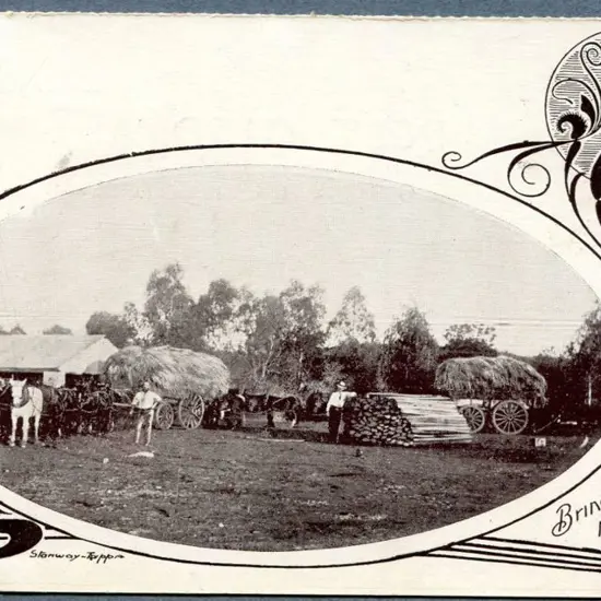 "Bringing in the Bush Hay" b&w Western Mail ...