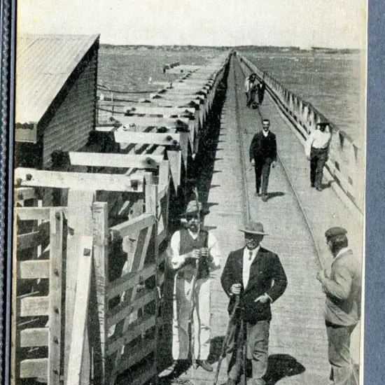 "Jetty, Carnarvon" showing group of men walking on ...