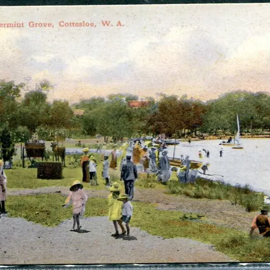 "Peppermint Grove, Cottesloe, WA" colour A. ...
