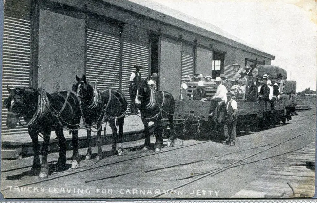 "Trucks Leaving for Carnarvon Jetty" showing horse ... Image 1++