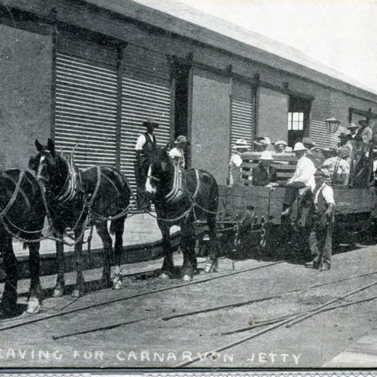 "Trucks Leaving for Carnarvon Jetty" showing horse ...