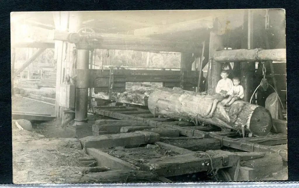 Children sitting on a large log at Jarrahdale saw ... Image 1++