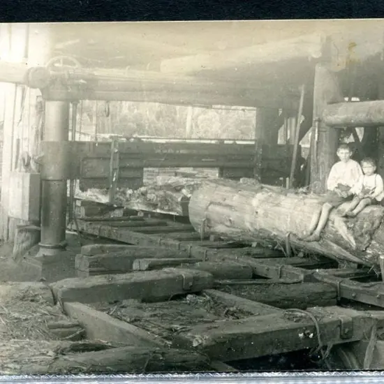 Children sitting on a large log at Jarrahdale saw ...
