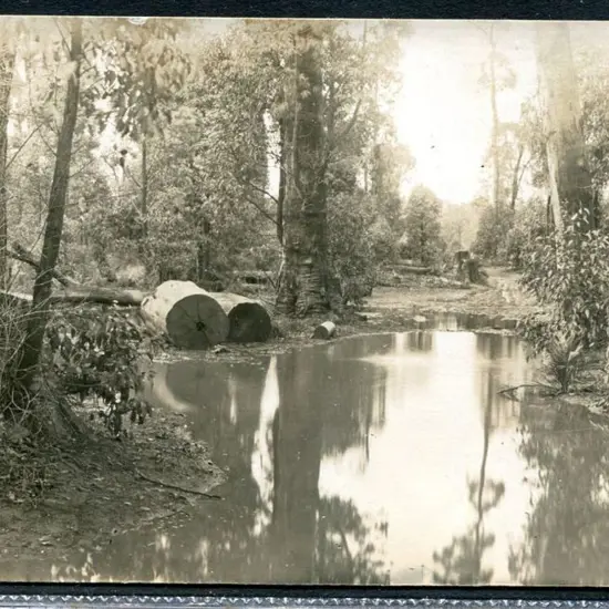 Logs by mill pond in Jarrahdale on b&w Kodak card. ...