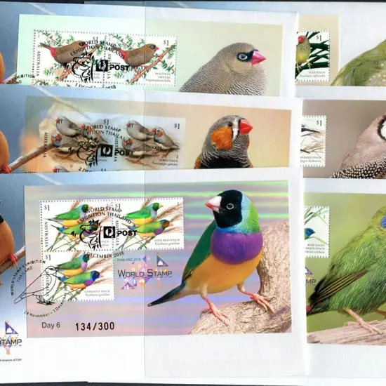 2018 (28th Nov-3rd Dec) Finches ditto with each ...