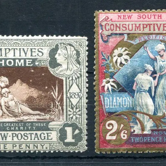 1897 Diamond Jubilee/Consumptive Homes charity ...