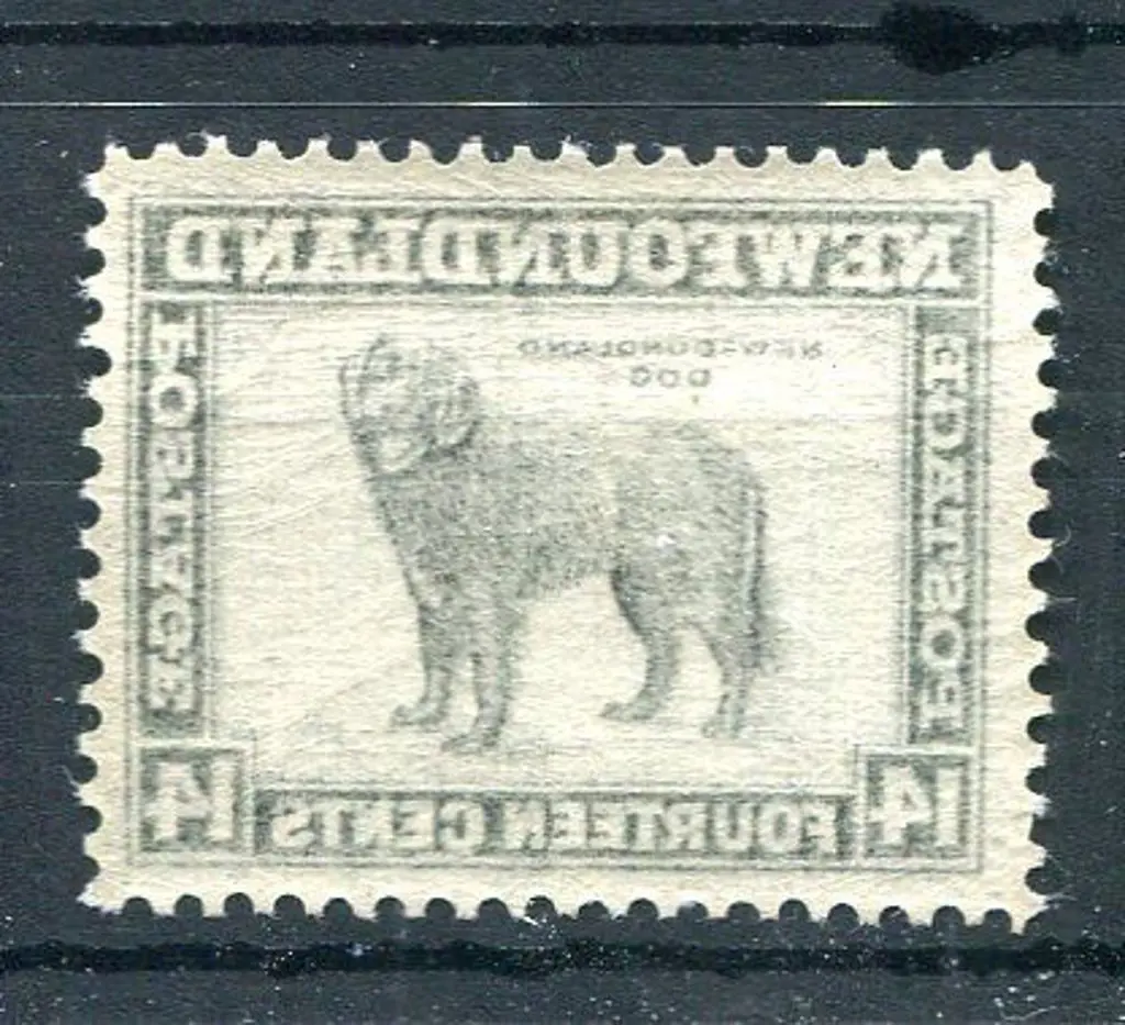 Newfoundland 1941/44 14c black Newfoundland Dog ... Image 1++