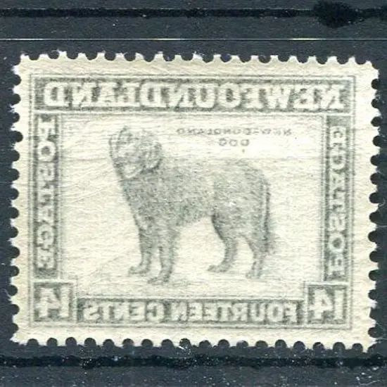 Newfoundland 1941/44 14c black Newfoundland Dog ...
