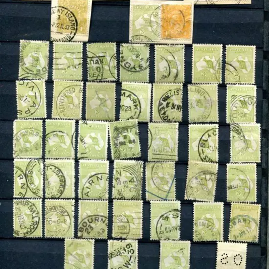 1913-2014 random range from duplicated kangaroos ...