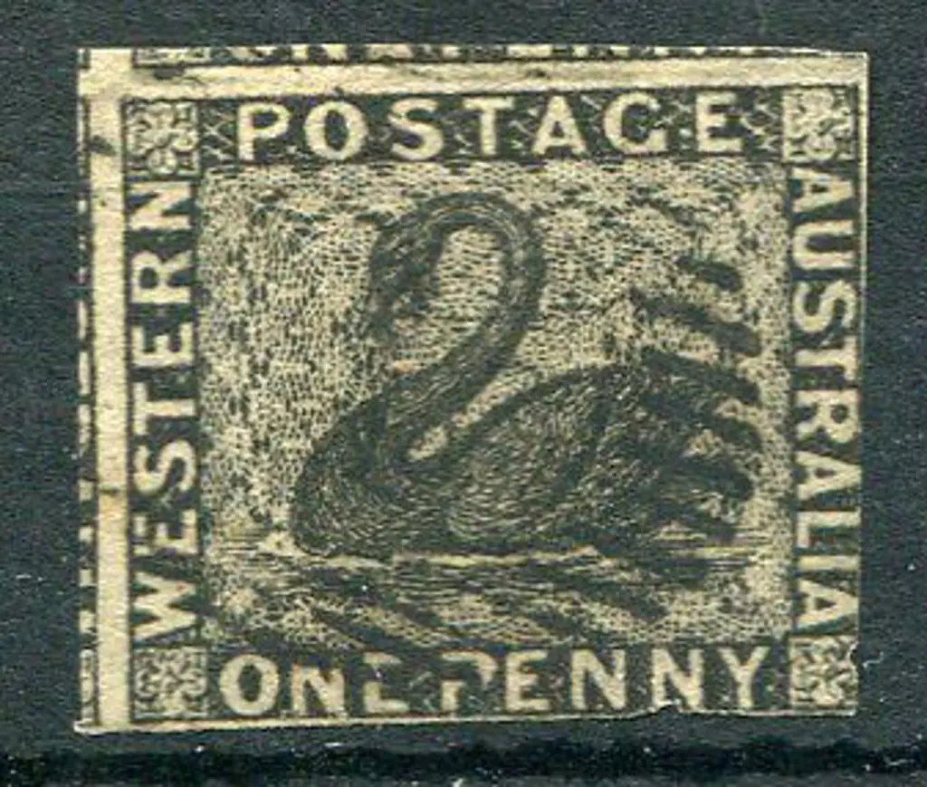 1854 1d black swan. Touching to large margins with ... Image 1++