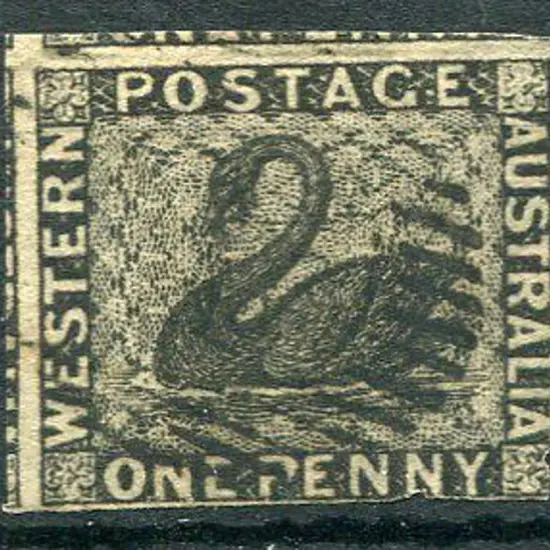1854 1d black swan. Touching to large margins with ...