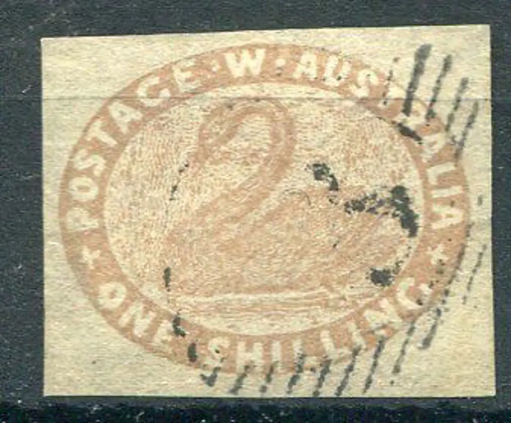 1854 1/- pale brown swan imperf with large margins ... Image 1++