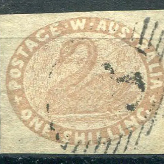 1854 1/- pale brown swan imperf with large margins ...