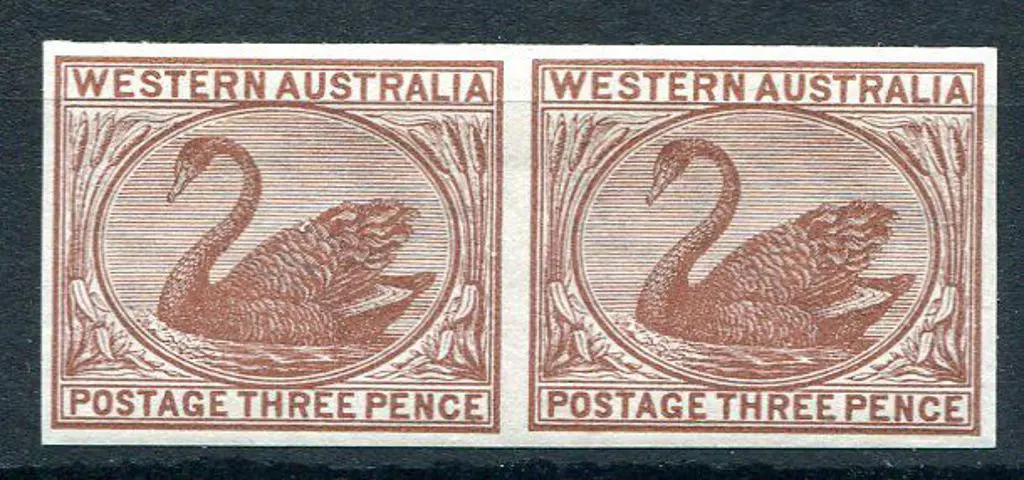 1882/95 3d pale brown swan imperforate plate proof ... Image 1++