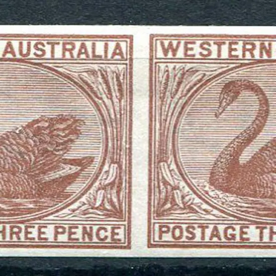 1882/95 3d pale brown swan imperforate plate proof ...