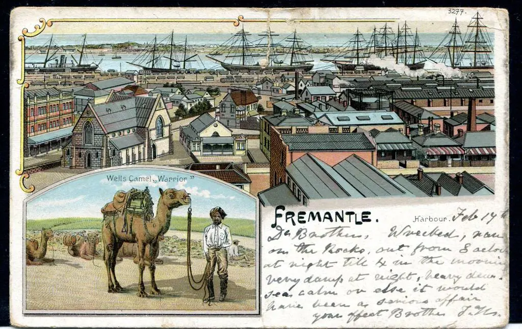 1905 (17th Feb) "Fremantle Harbour - Wells Camel ... Image 1++