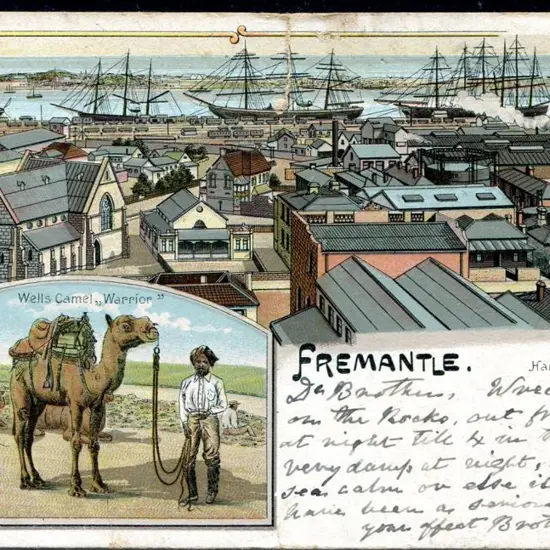 1905 (17th Feb) "Fremantle Harbour - Wells Camel ...