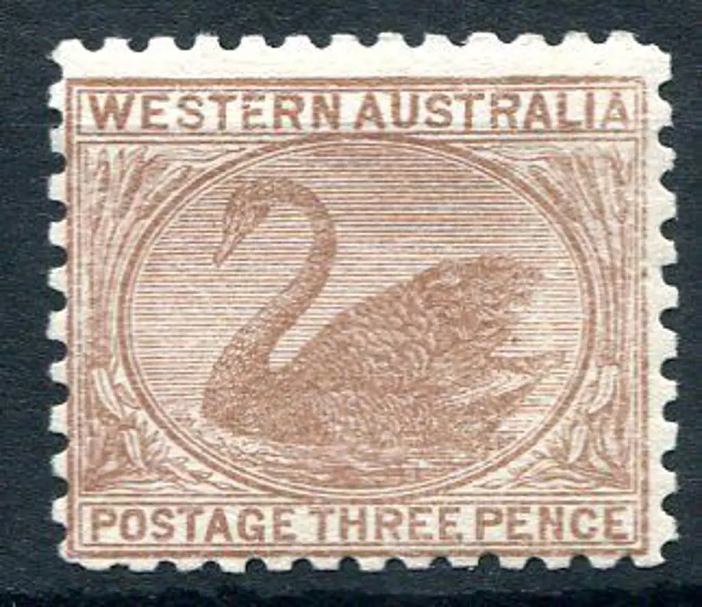 1905/12 3d brown swan with Crown over double-lined ... Image 1++